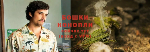 прущие грибы Всеволожск