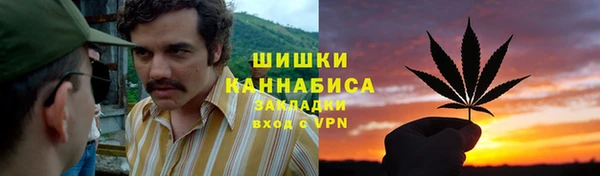 ПСИЛОЦИБИНОВЫЕ ГРИБЫ Вуктыл