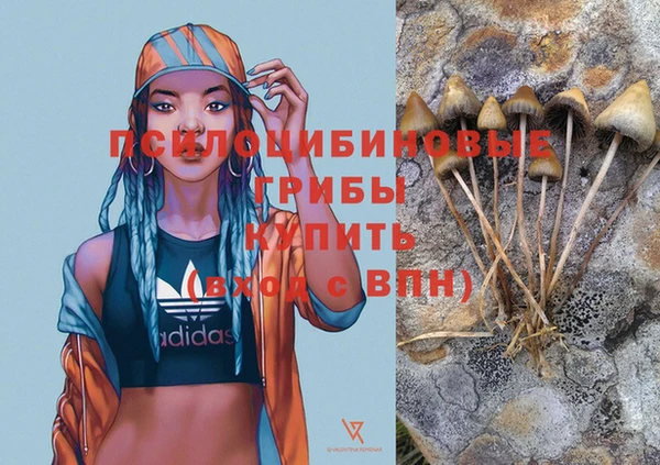 ALPHA PVP Нефтекумск