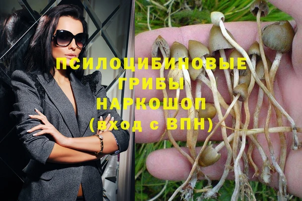 соль ск Нея