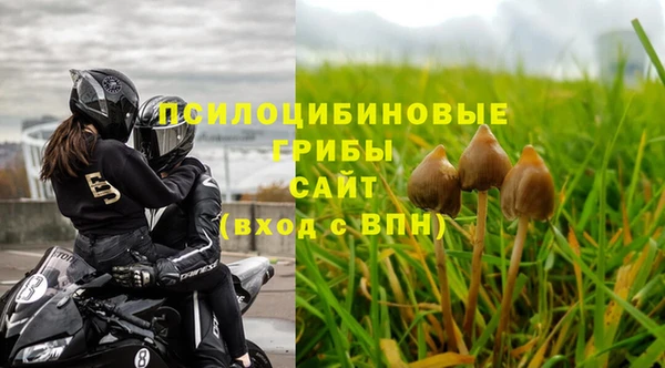 ешки Нефтегорск
