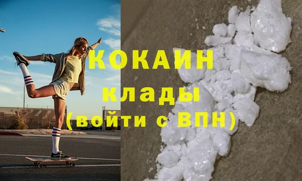 прущие грибы Всеволожск
