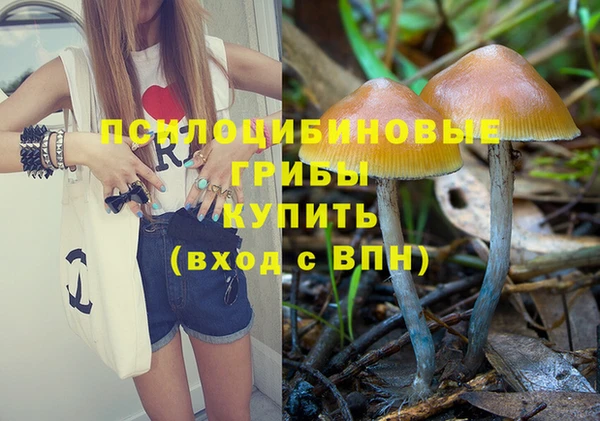 соль ск Нея