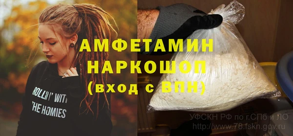 ГАЛЛЮЦИНОГЕННЫЕ ГРИБЫ Михайлов