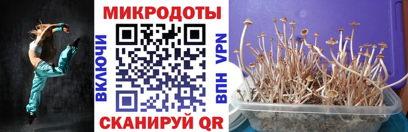 Псилоцибиновые грибы MAGIC MUSHROOMS  Нефтегорск 